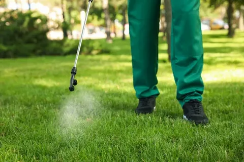 garden and lawn care service in dubai